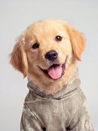 Camo Paw Hoodie